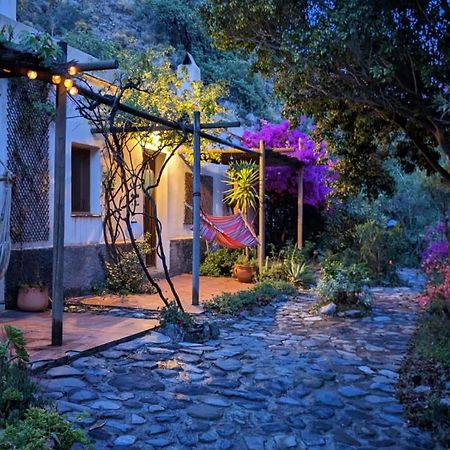 Cortijo Jamaica - Off Grid Paradise - Costa Tropical Los Diaz  Eksteriør bilde