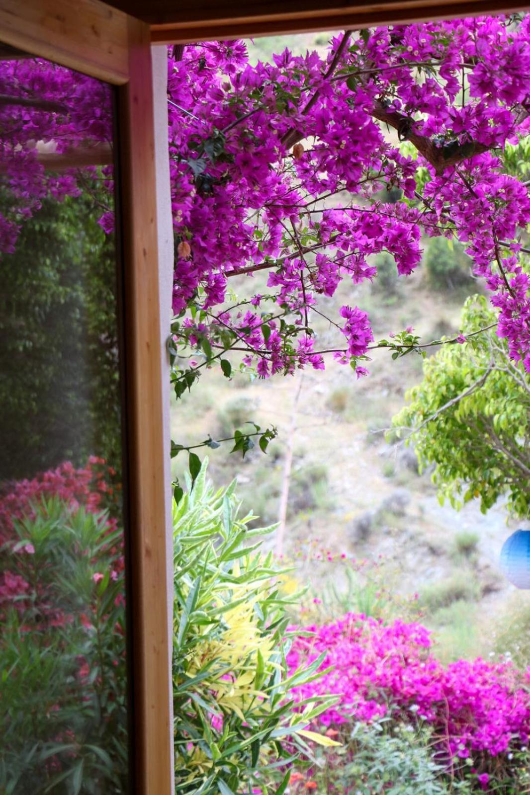 Cortijo Jamaica - Off Grid Paradise - Costa Tropical Los Diaz  Eksteriør bilde