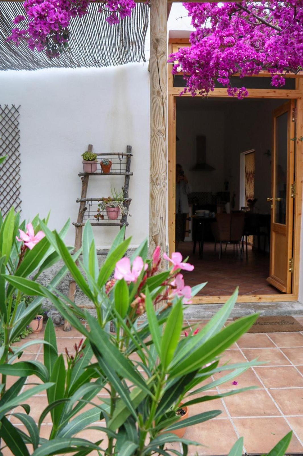 Cortijo Jamaica - Off Grid Paradise - Costa Tropical Los Diaz  Eksteriør bilde